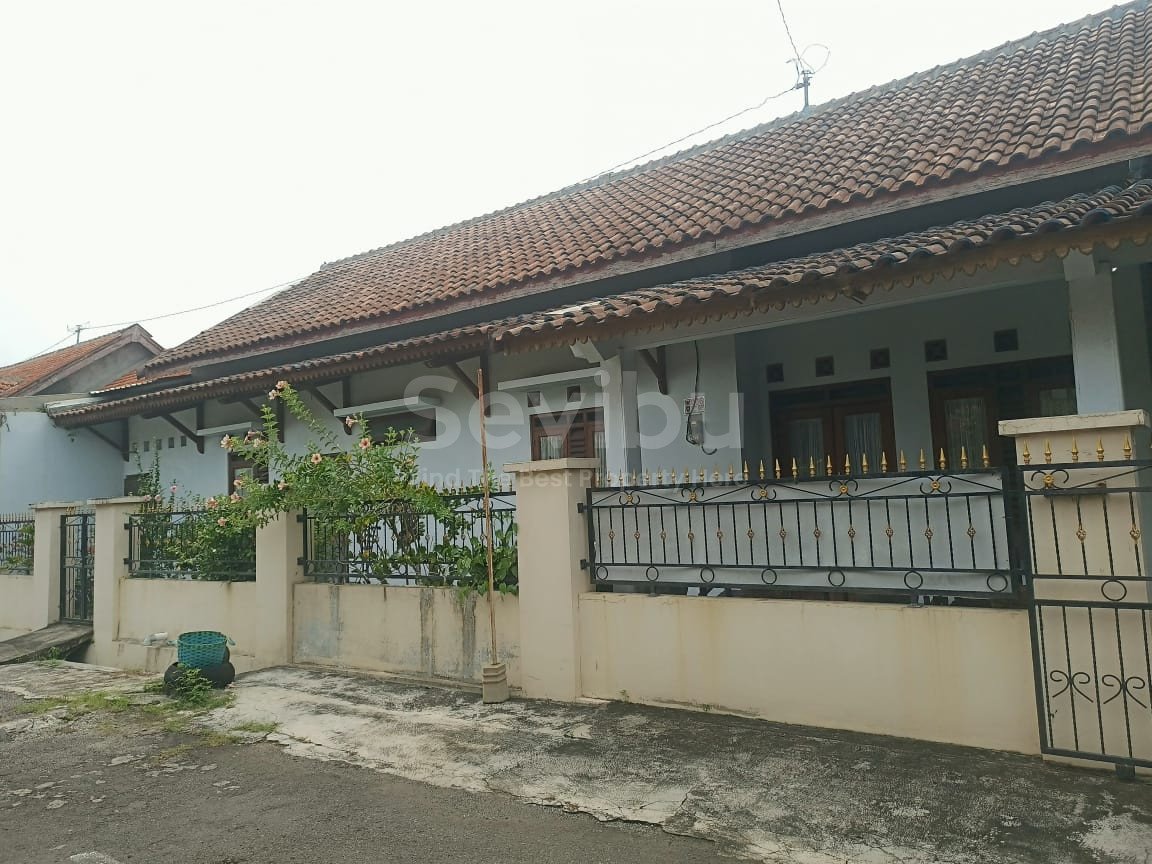 WhatsApp Image 2024-11-16 at 13.00.24