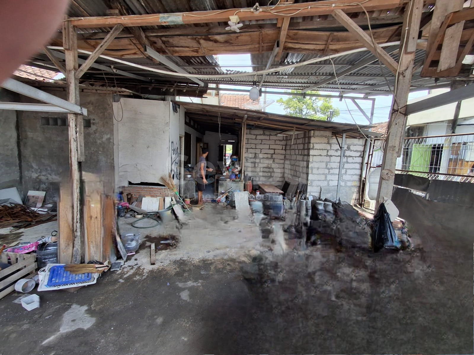 WhatsApp Image 2024-11-23 at 10.52.12