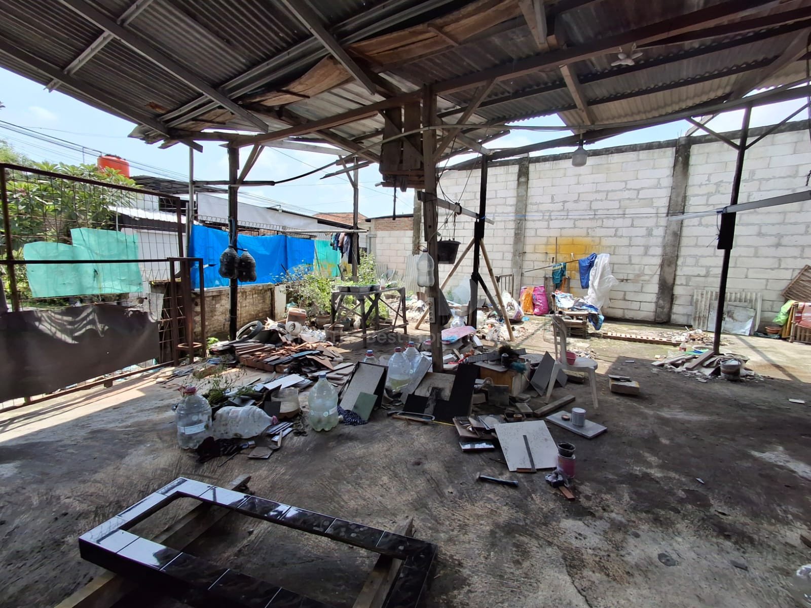 WhatsApp Image 2024-11-23 at 10.52.34