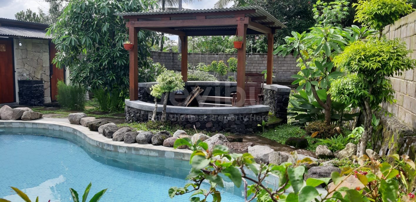 WhatsApp Image 2024-12-03 at 12.42.22