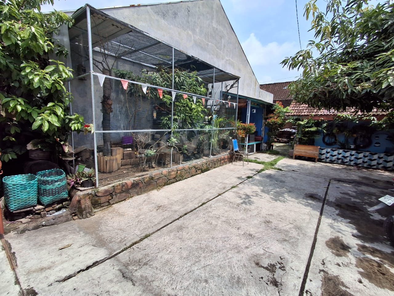 WhatsApp Image 2024-12-09 at 10.57.13