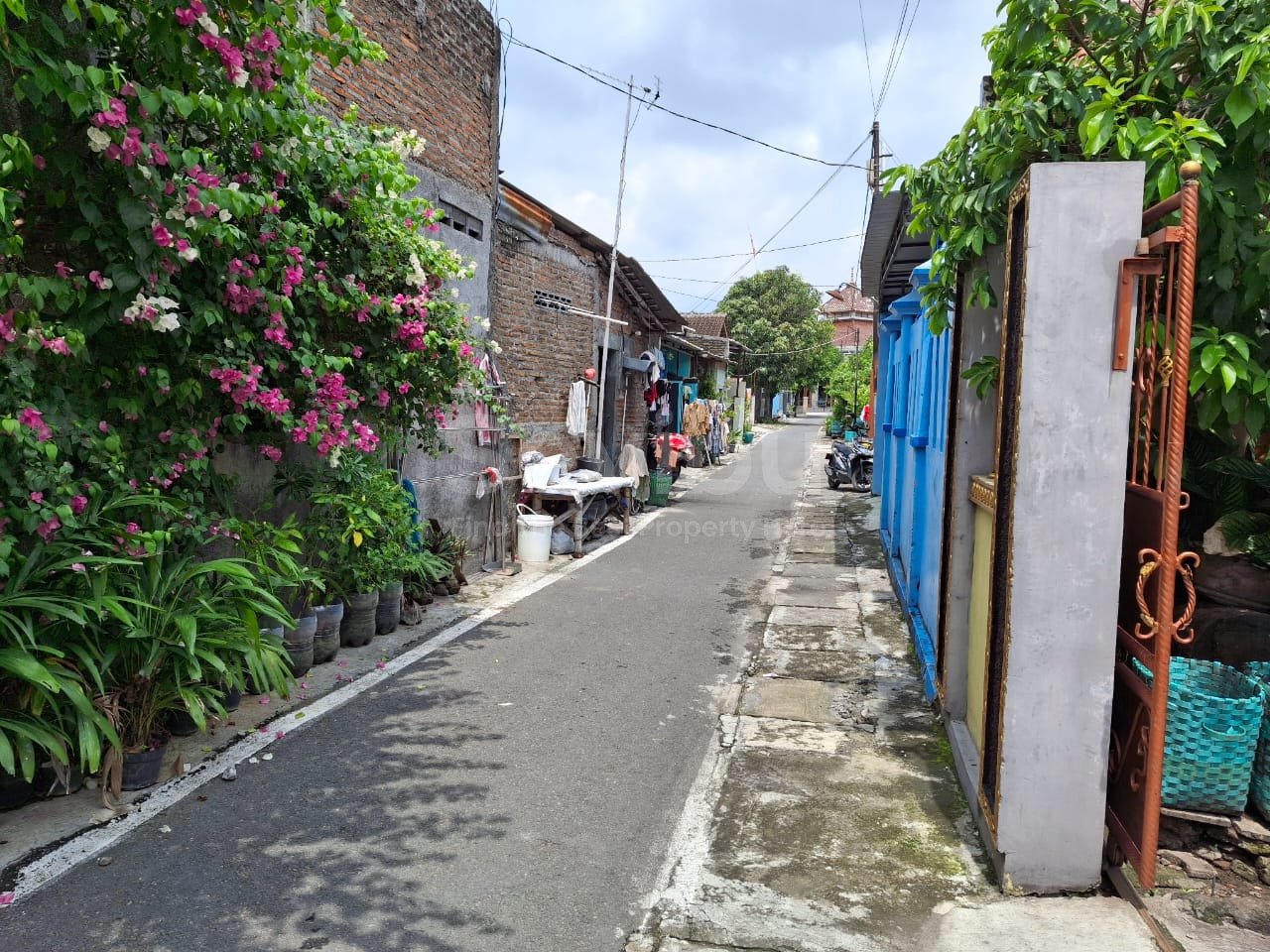 WhatsApp Image 2024-12-09 at 10.57.14