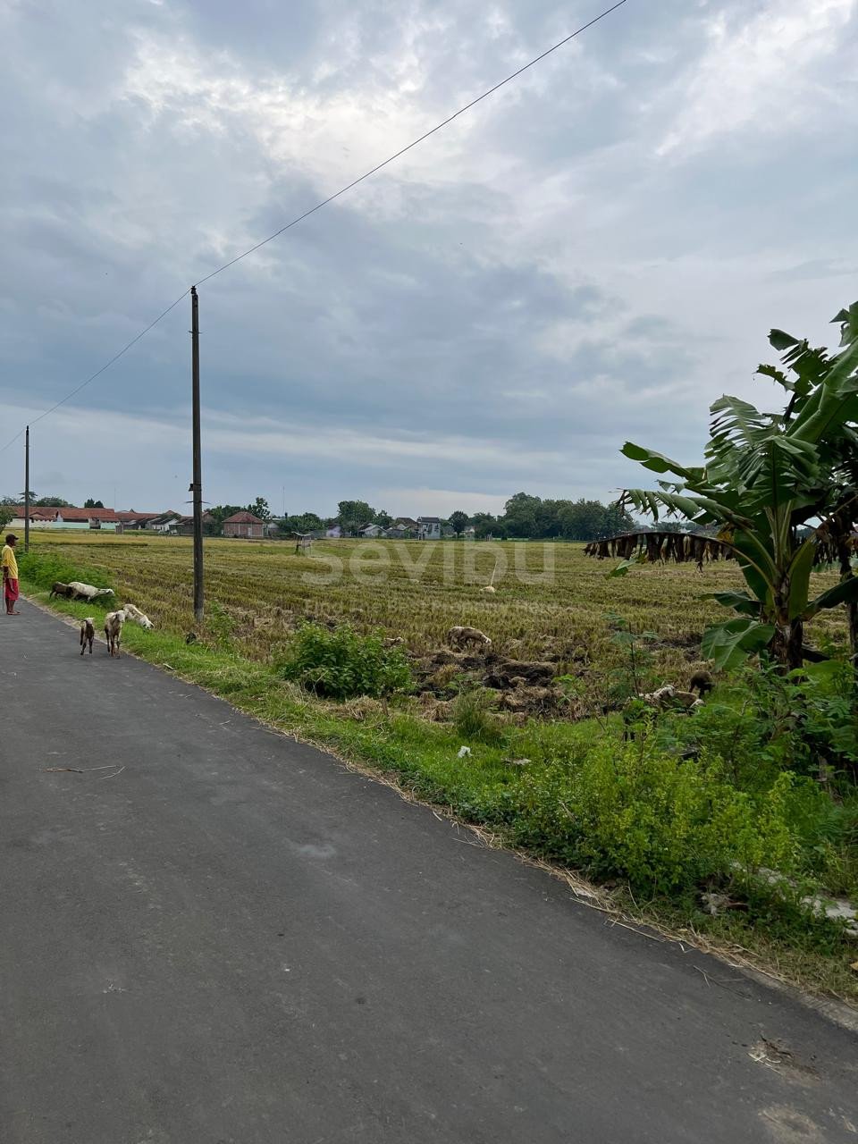 WhatsApp Image 2025-01-18 at 12.36.37 (1)