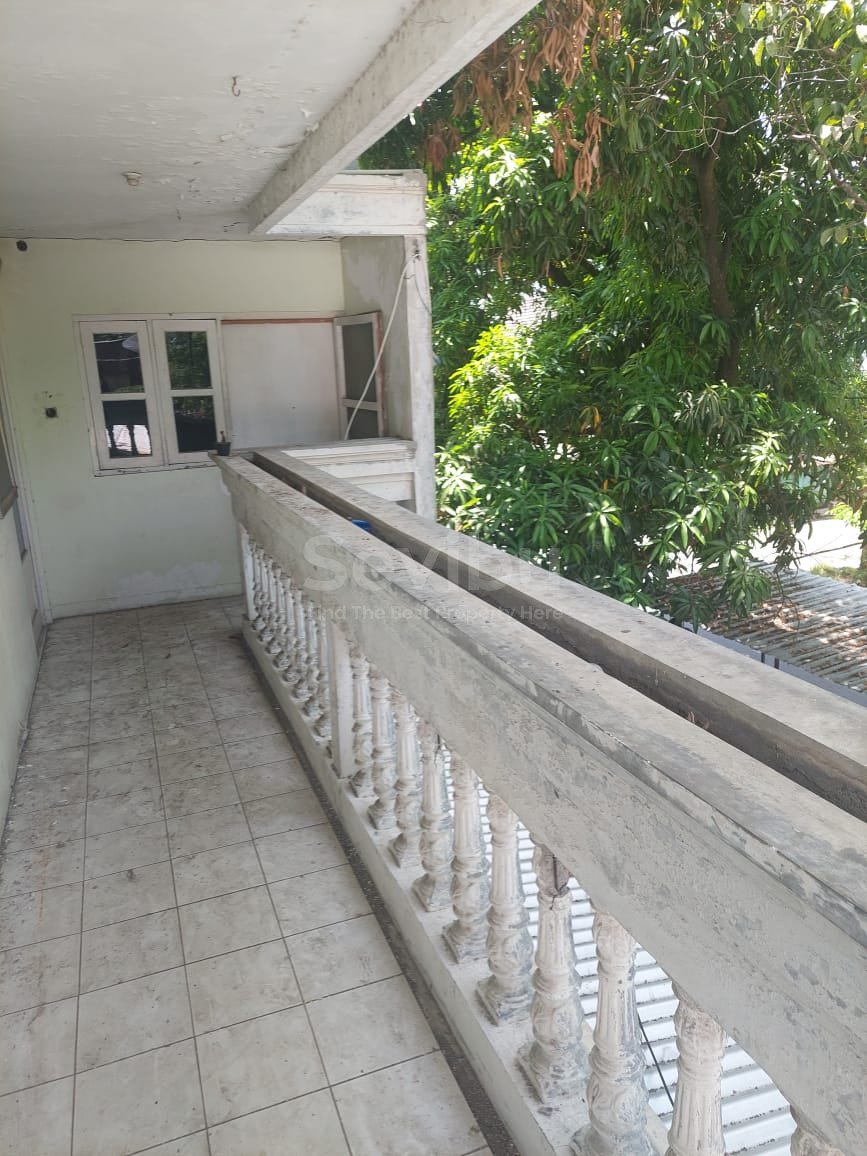 WhatsApp Image 2025-02-05 at 11.56.59(2)