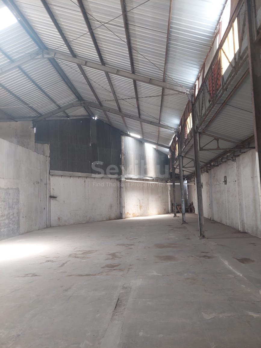 WhatsApp Image 2025-02-05 at 11.56.59(3)