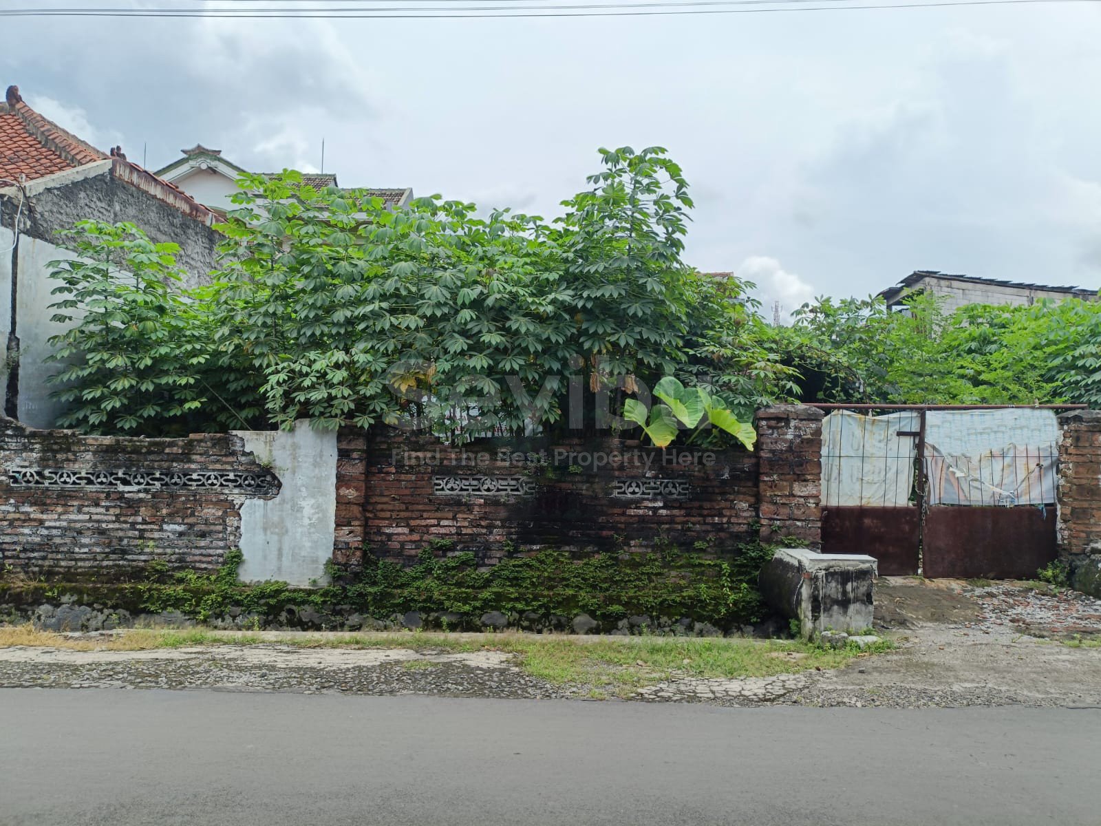 WhatsApp Image 2025-03-07 at 11.08.48 (1) copy