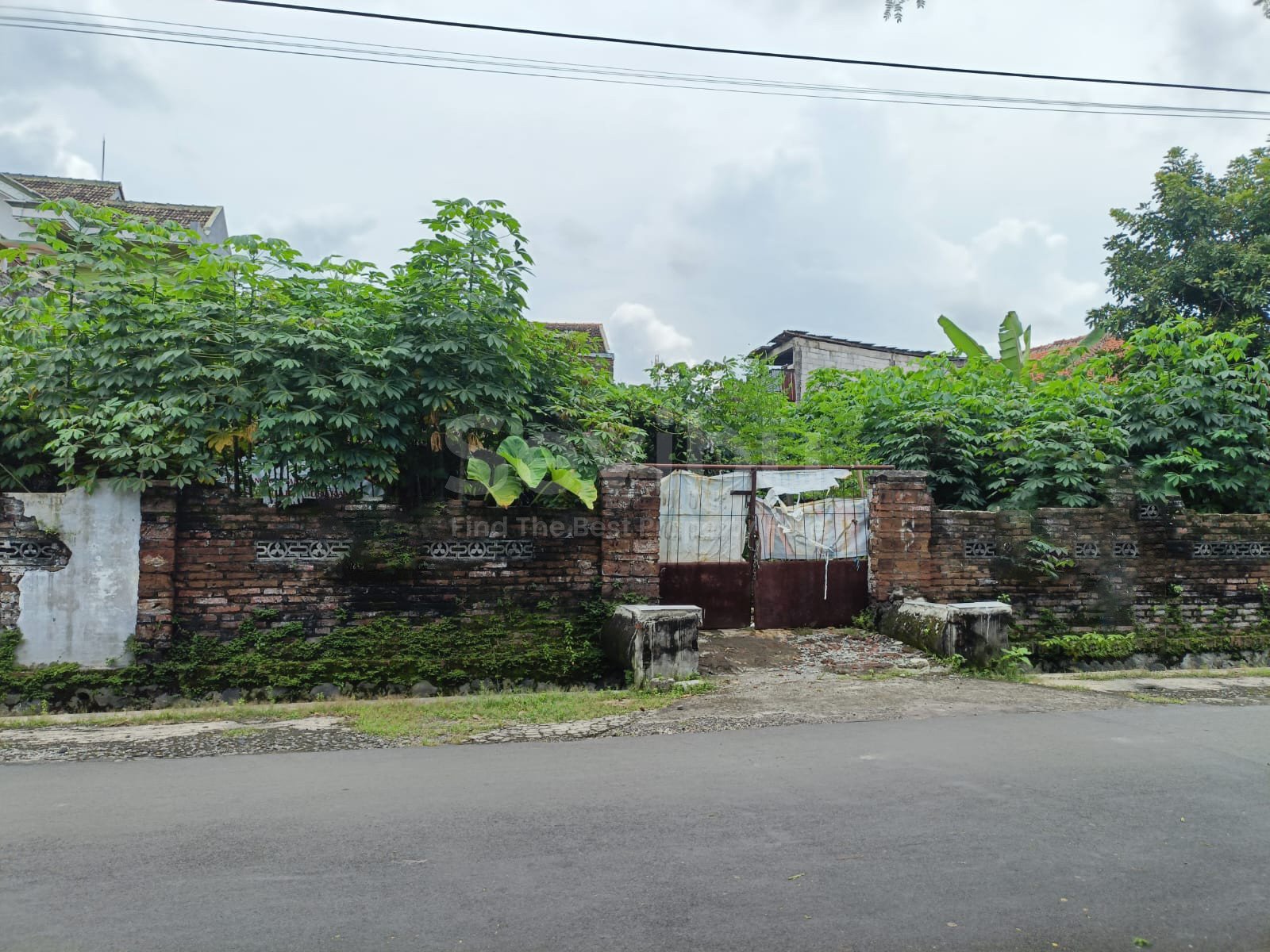 WhatsApp Image 2025-03-07 at 11.08.49 (1) copy