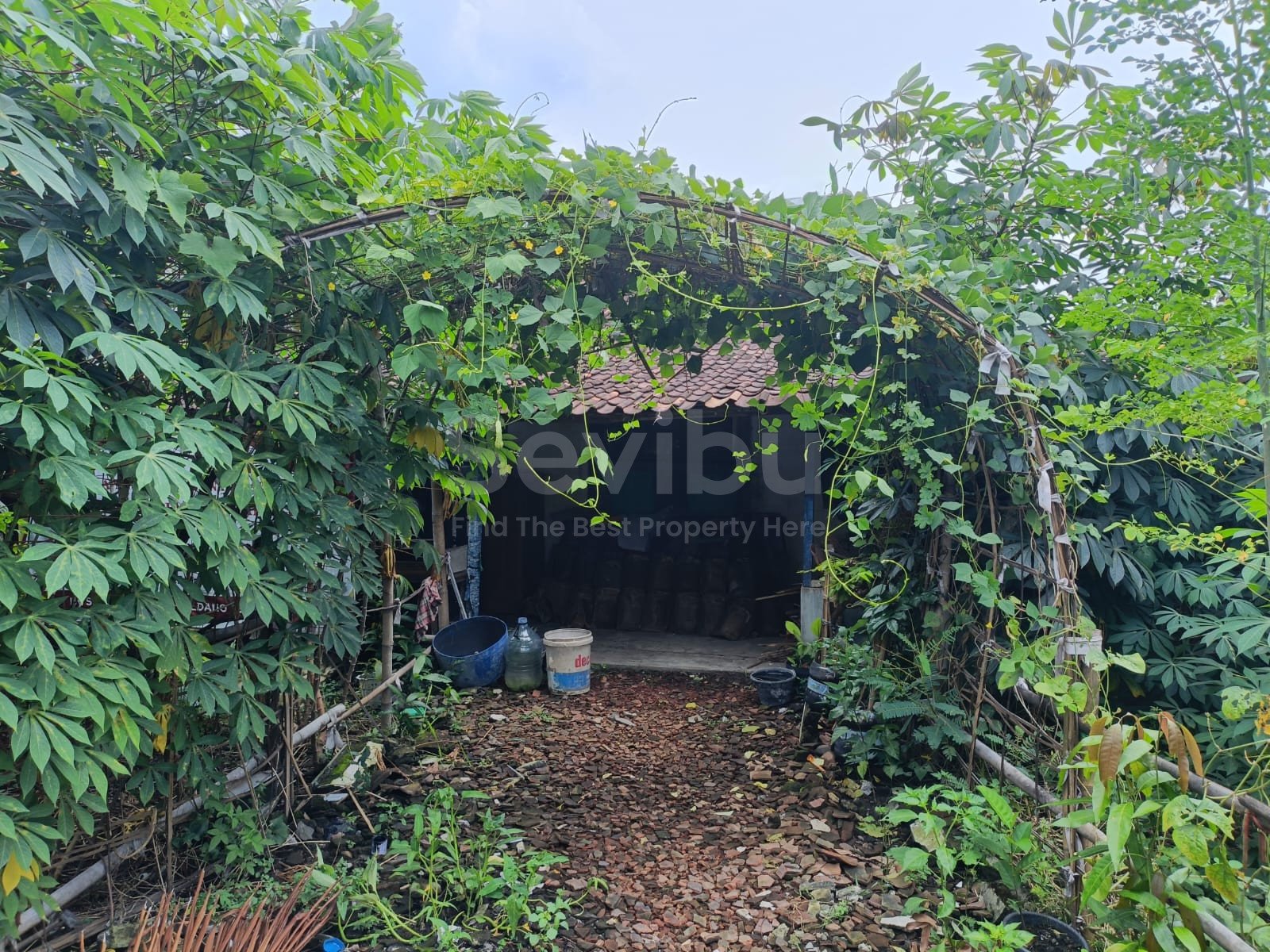 WhatsApp Image 2025-03-07 at 11.08.50 (1)