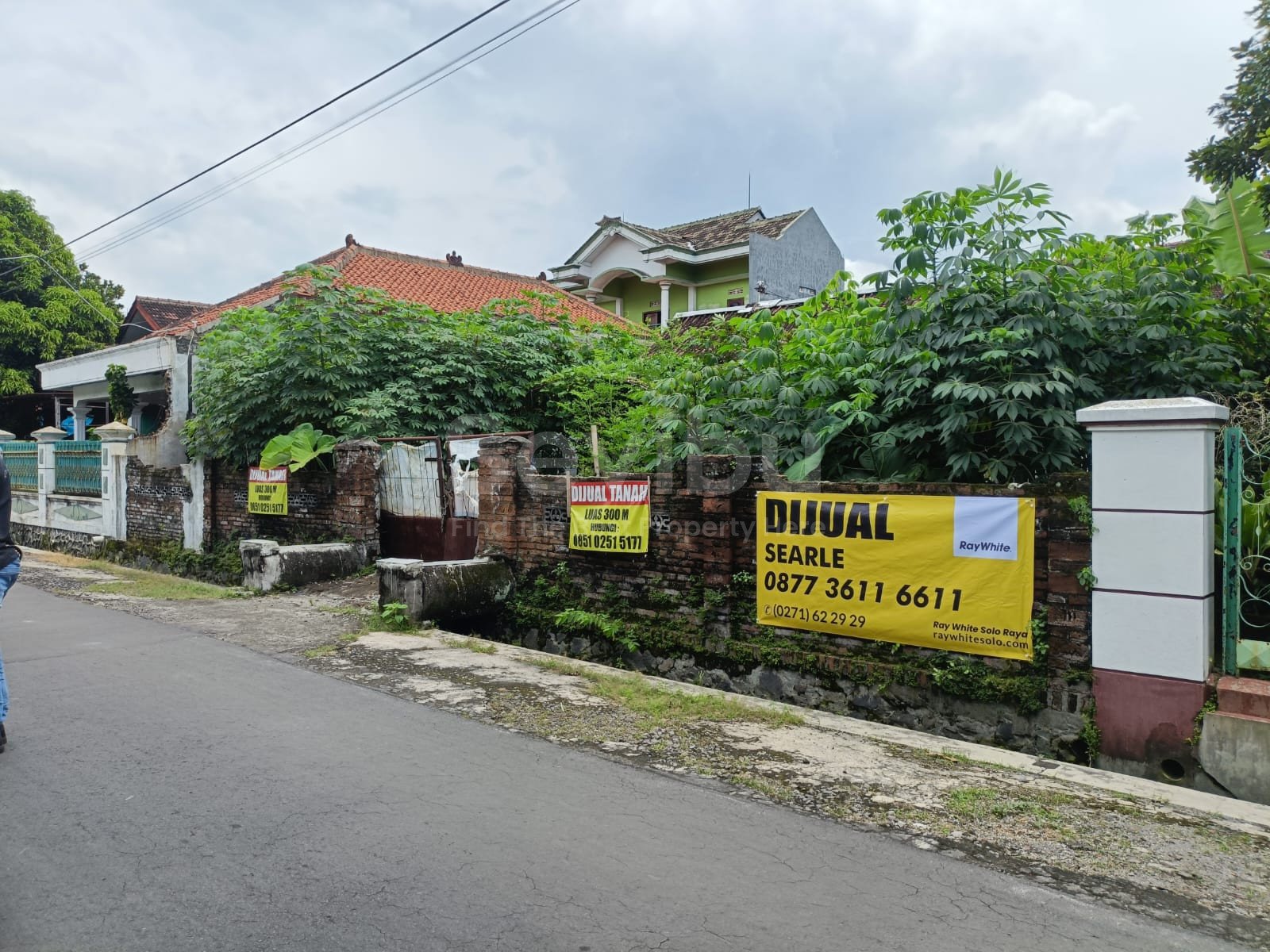 WhatsApp Image 2025-03-07 at 11.13.07