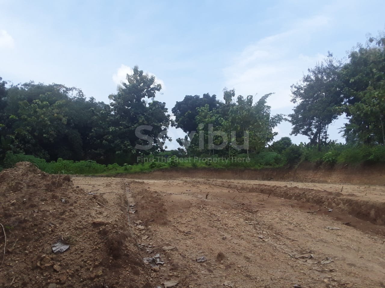 WhatsApp Image 2025-03-22 at 08.17.53 (1)