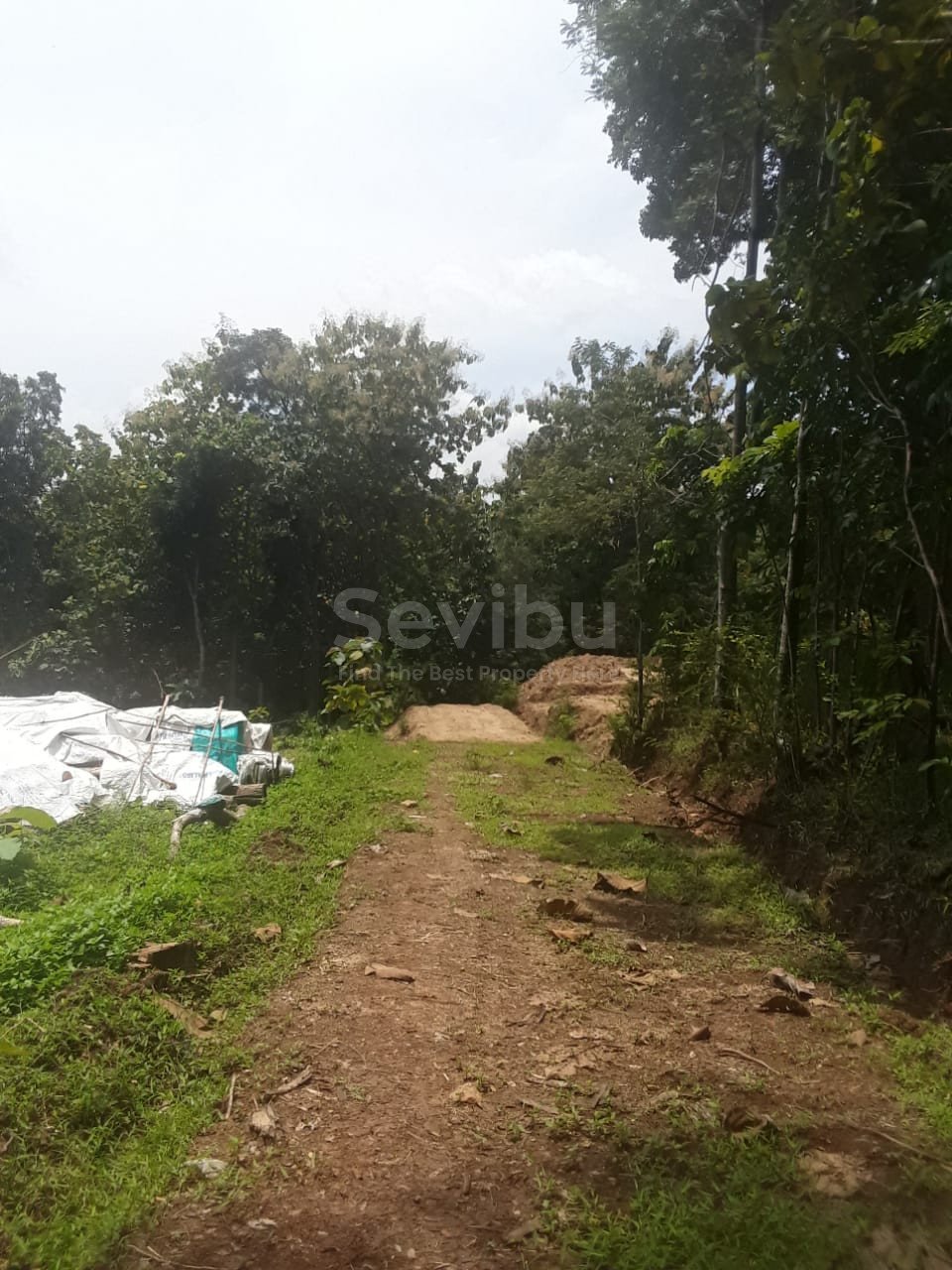 WhatsApp Image 2025-03-22 at 08.17.53