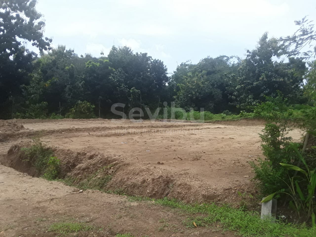 WhatsApp Image 2025-03-22 at 08.17.54 (1)