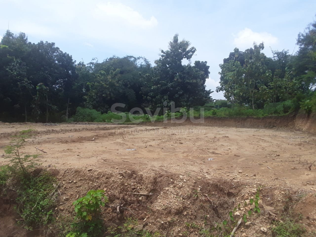 WhatsApp Image 2025-03-22 at 08.17.54