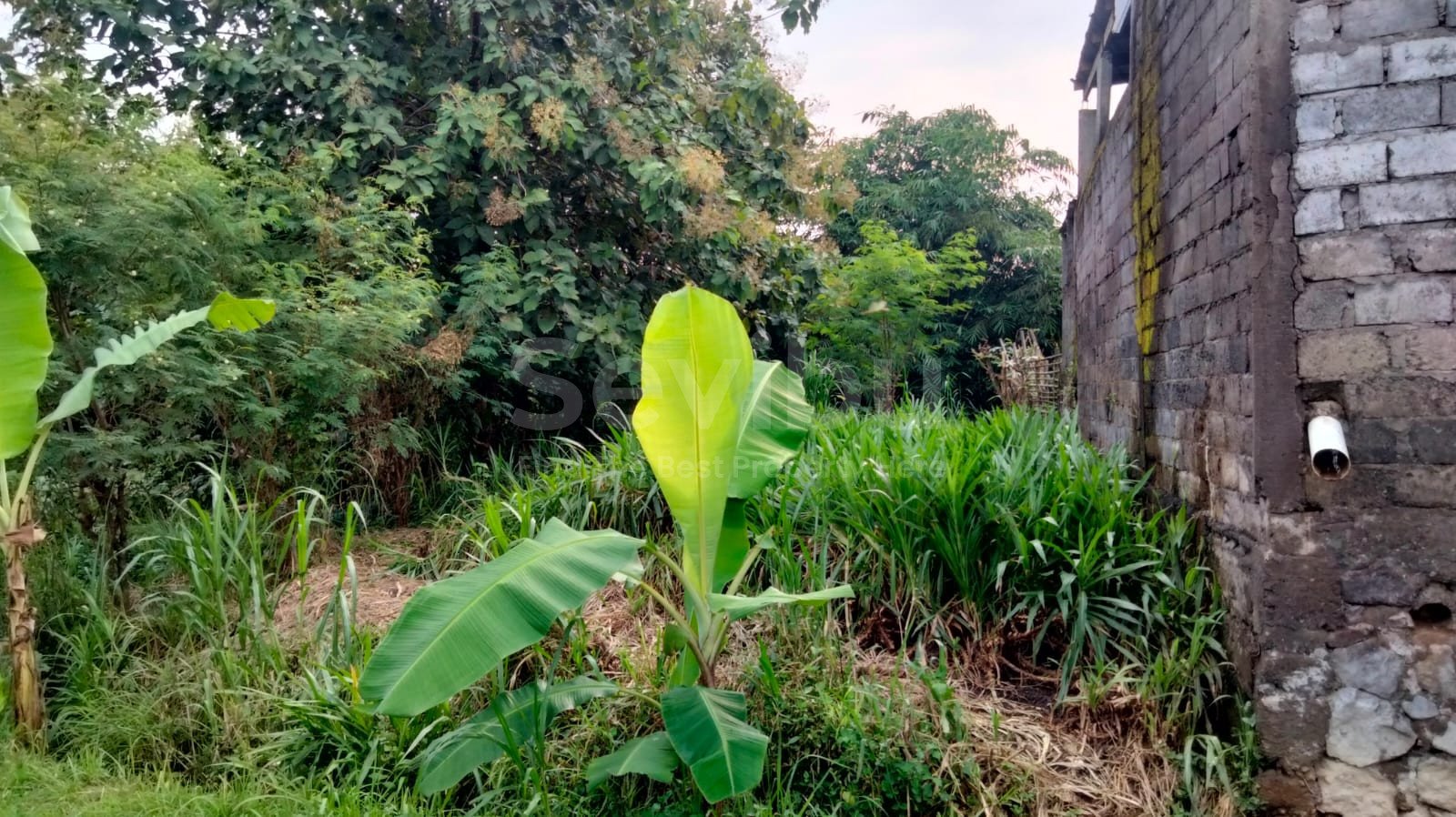 WhatsApp Image 2025-04-14 at 22.55.05 (1)