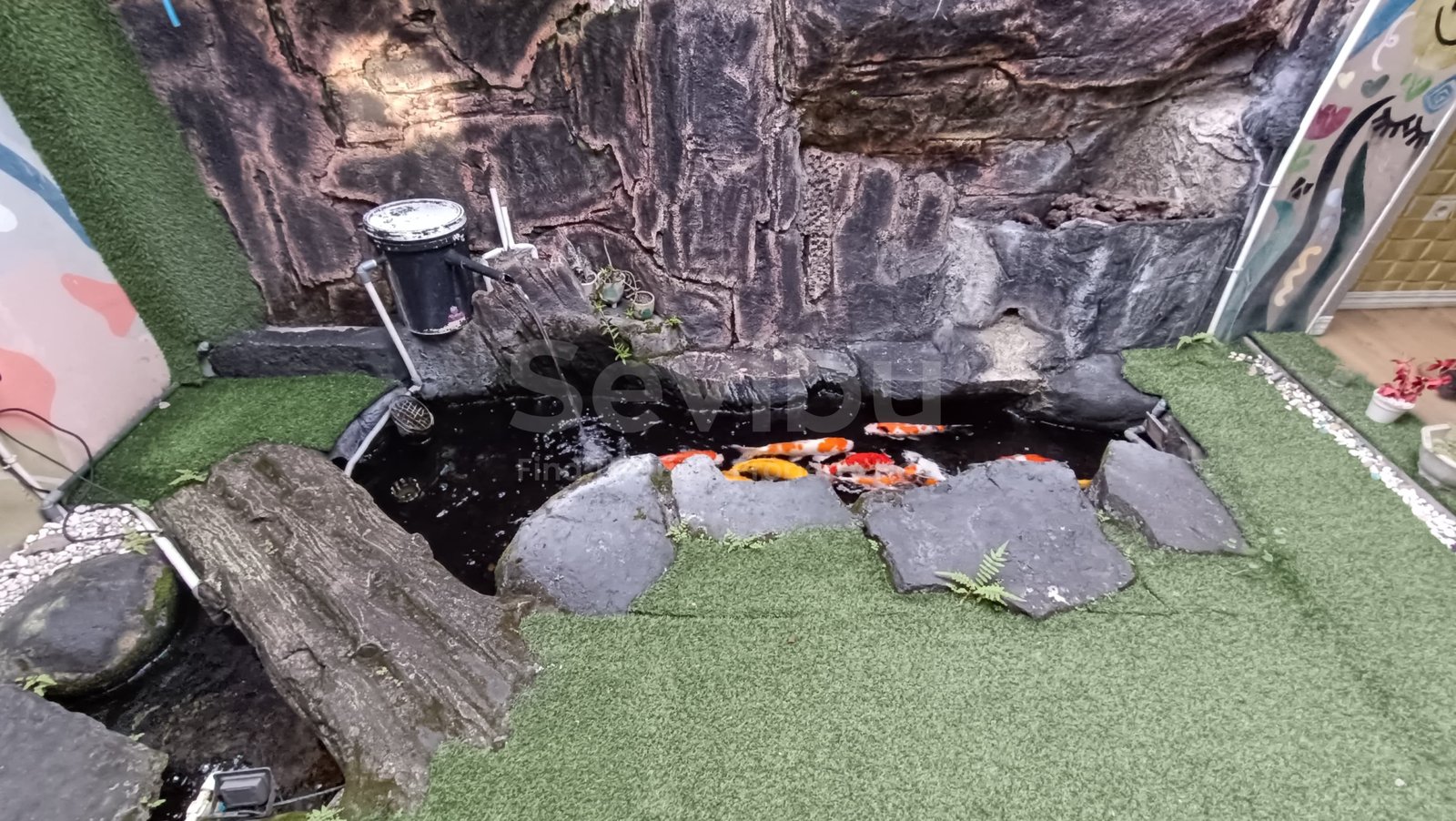 WhatsApp Image 2025-05-09 at 16.16.52