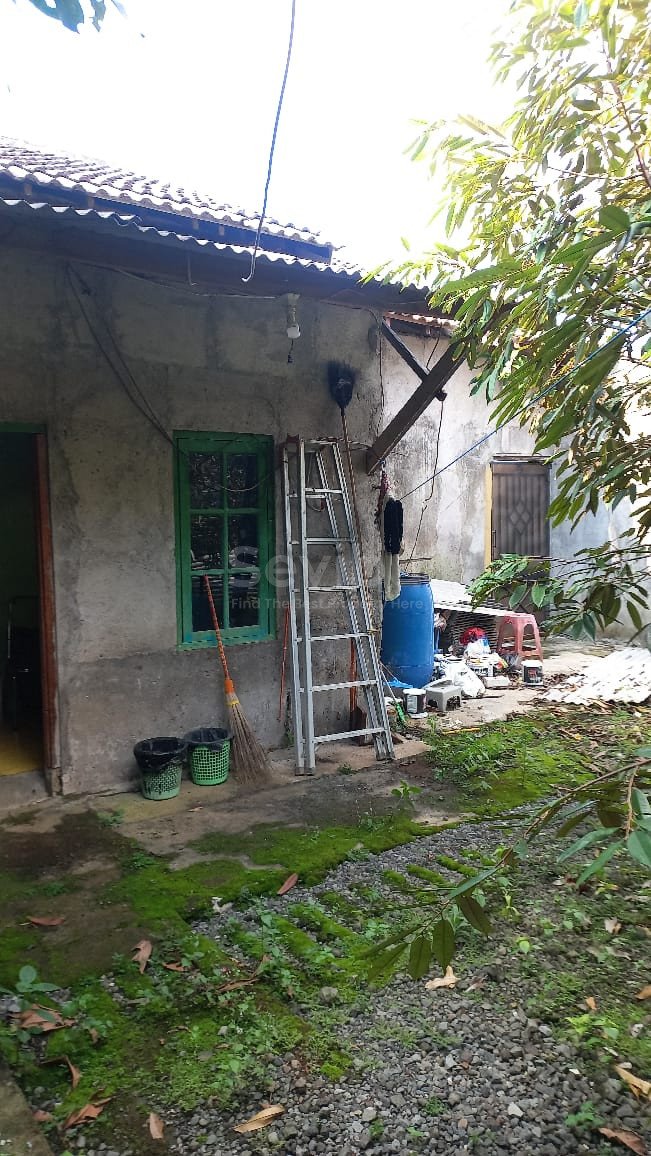 WhatsApp Image 2025-05-17 at 12.06.44 (1)