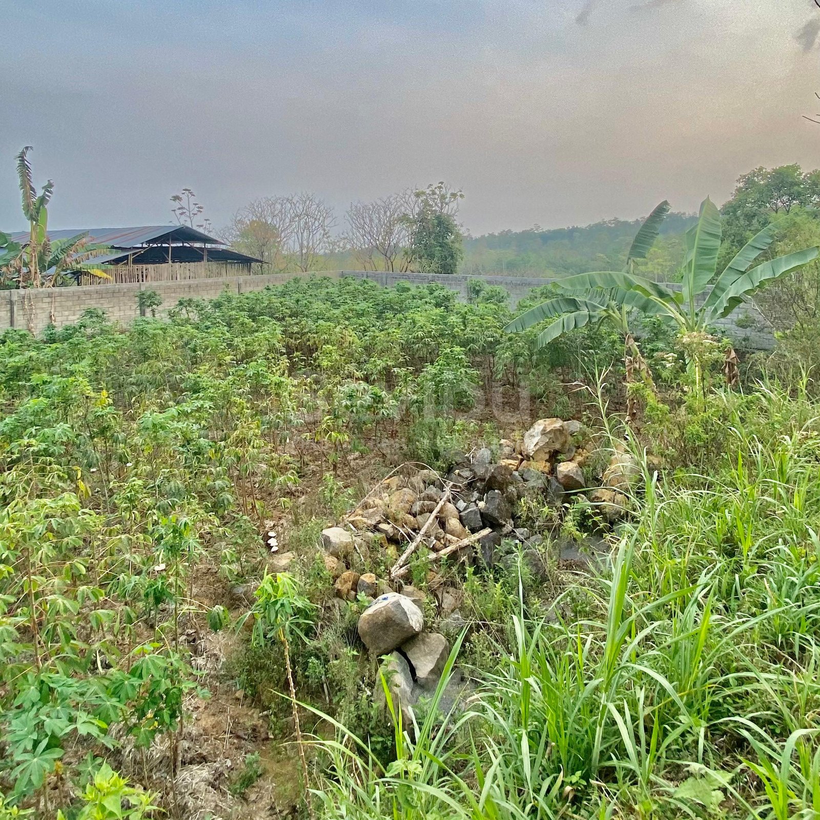 WhatsApp Image 2025-06-14 at 15.21.15 (2)