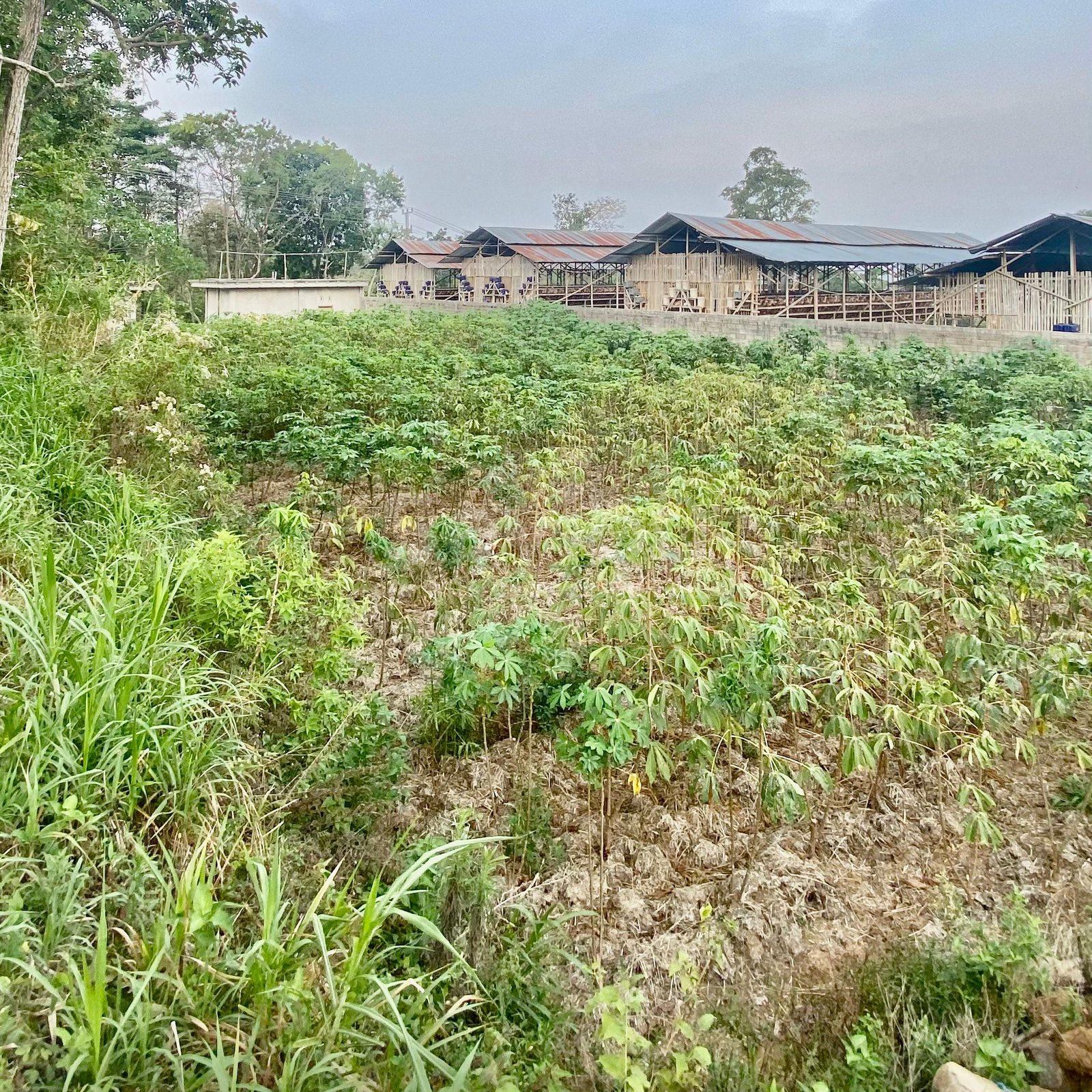 WhatsApp Image 2025-06-14 at 15.21.16