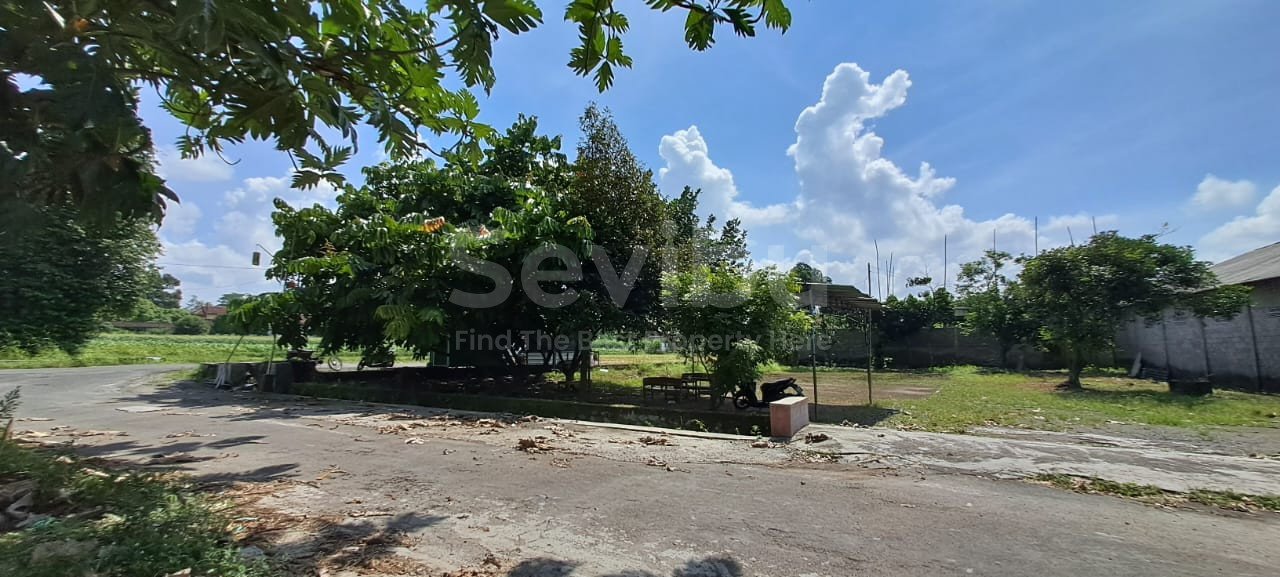 WhatsApp Image 2025-06-20 at 15.16.33 (2)