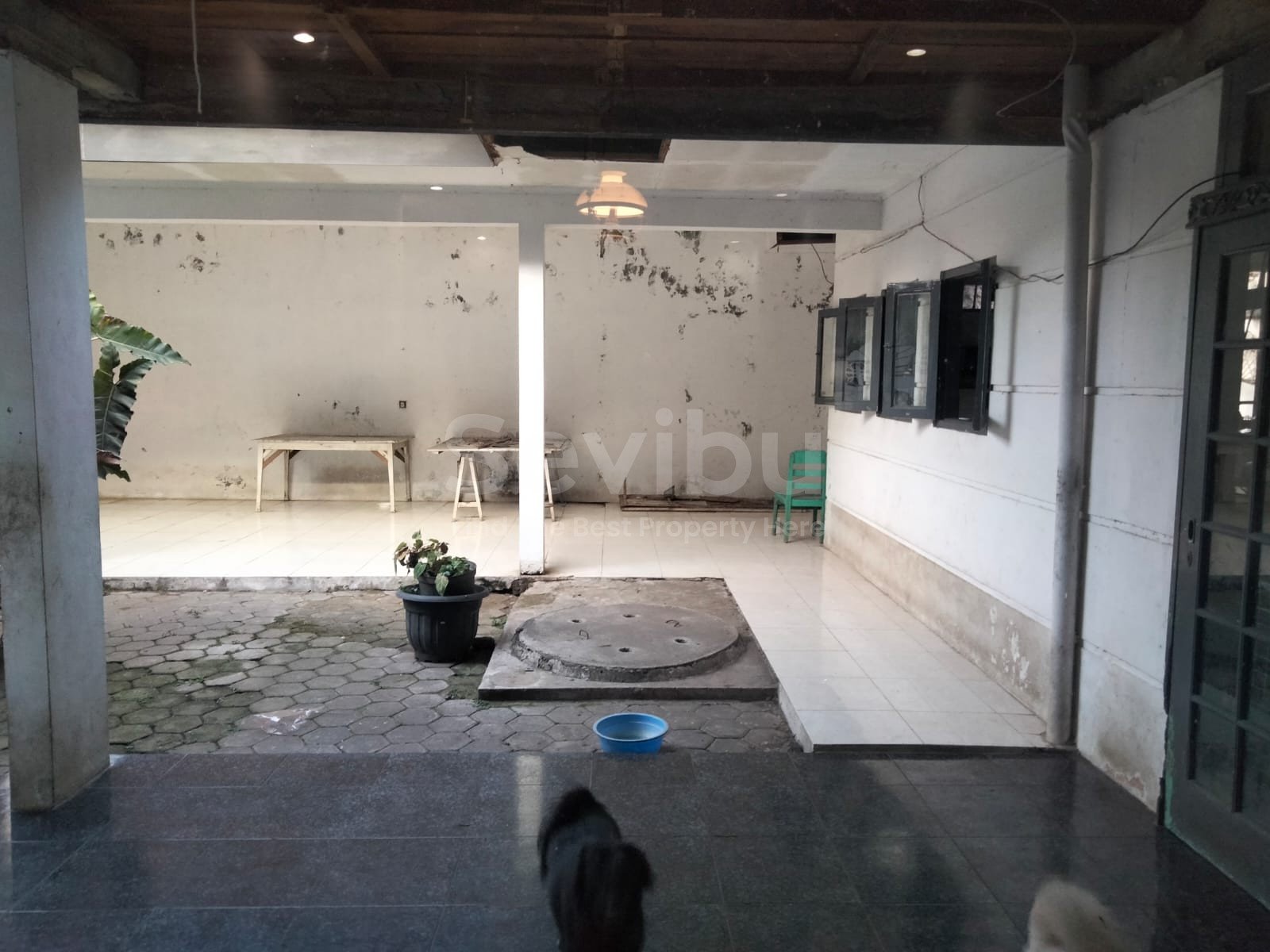 WhatsApp Image 2025-07-19 at 21.31.27 (1)