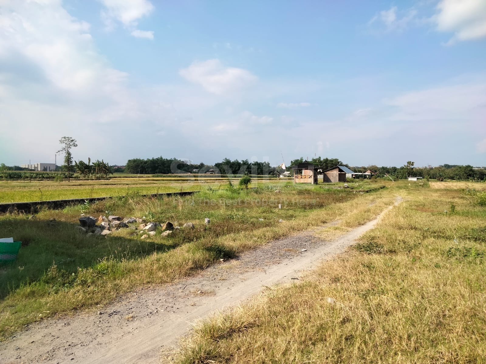 WhatsApp Image 2025-07-23 at 22.41.39