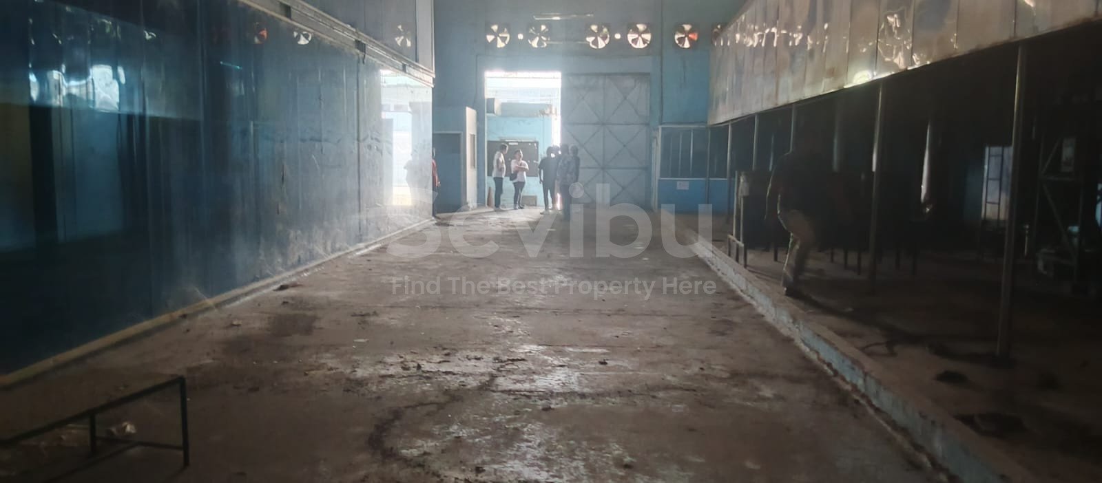 WhatsApp Image 2025-08-02 at 9.33.11 AM