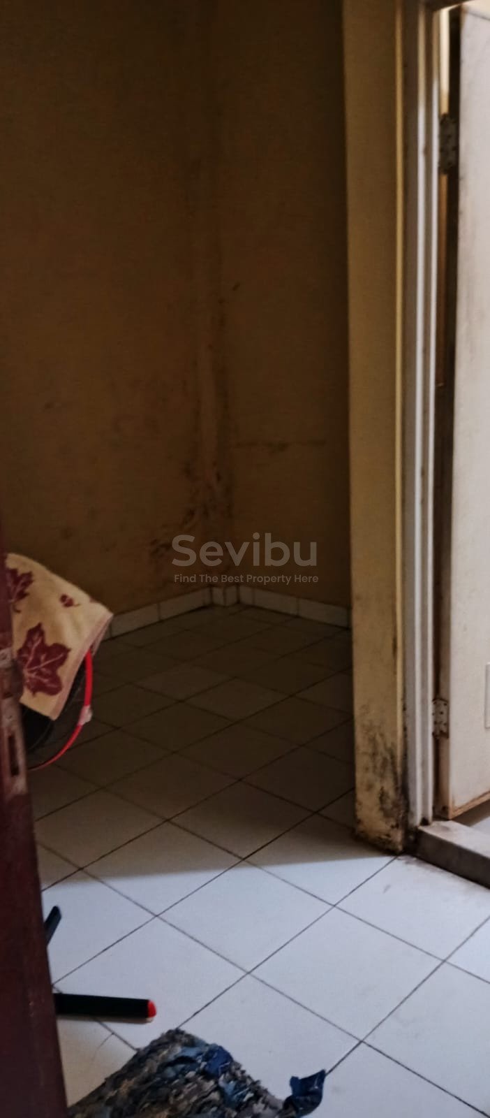 WhatsApp Image 2025-08-19 at 3.00.51 PM