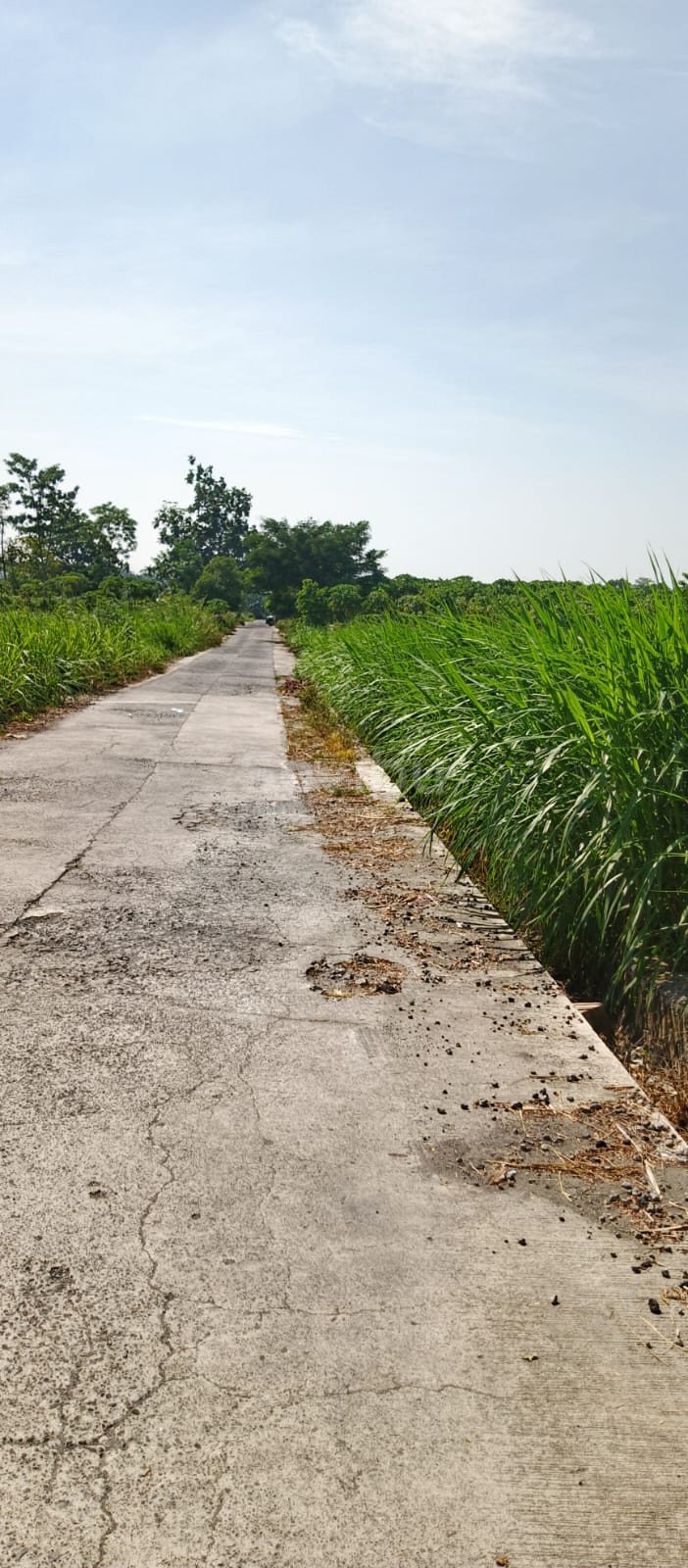 WhatsApp Image 2025-09-12 at 14.10.38 (1)