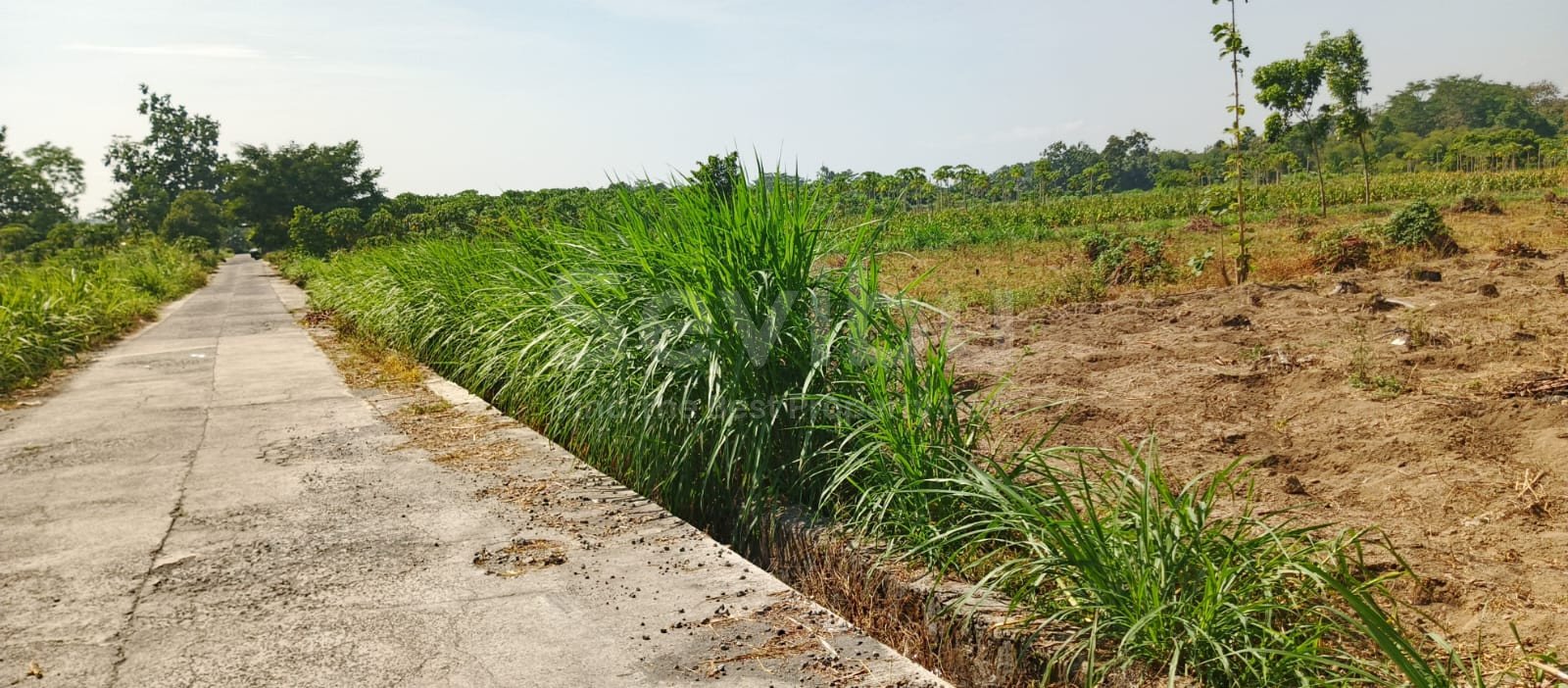 WhatsApp Image 2025-09-12 at 14.10.38 (2)