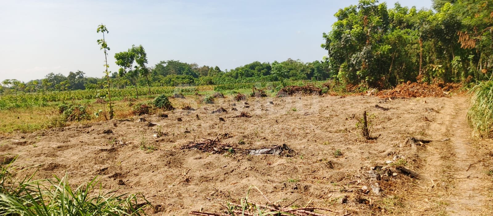 WhatsApp Image 2025-09-12 at 14.10.38 (3)