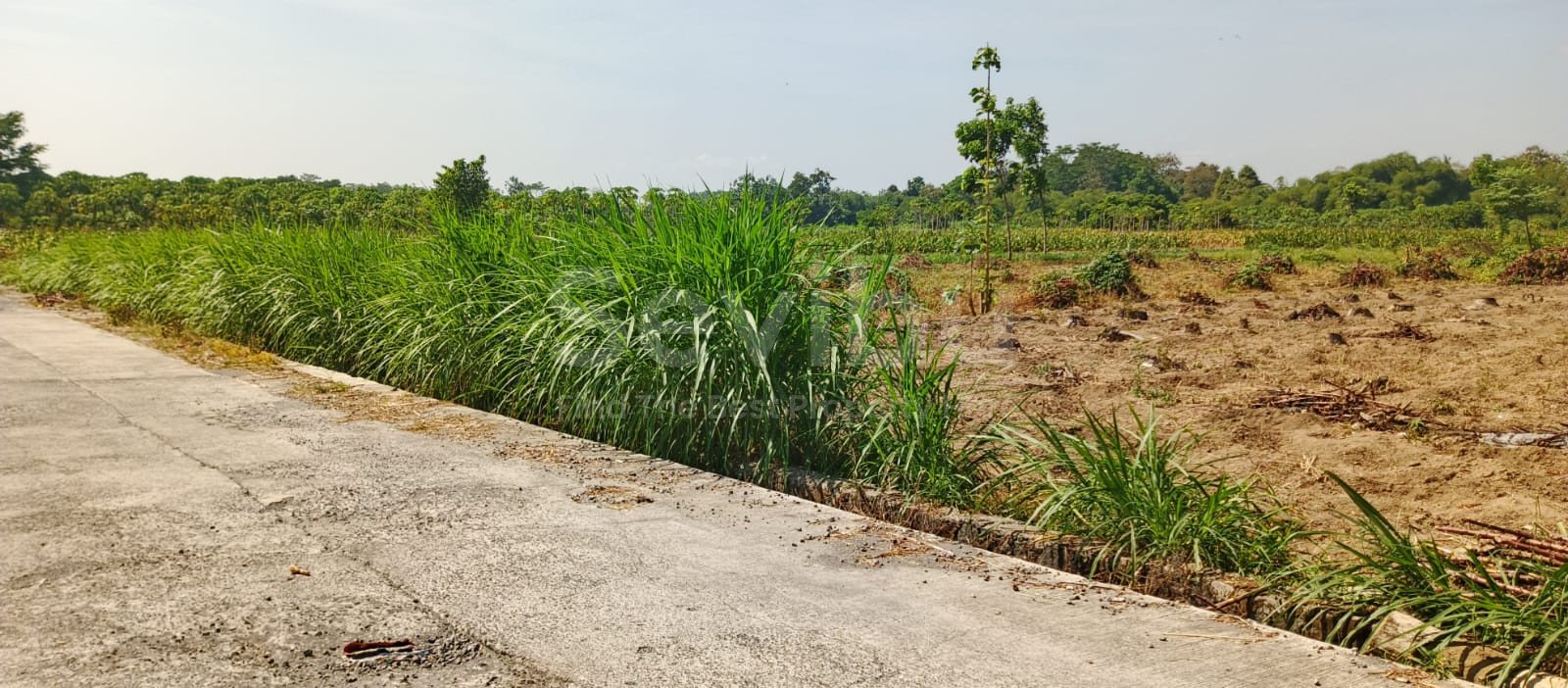 WhatsApp Image 2025-09-12 at 14.10.39 (1)