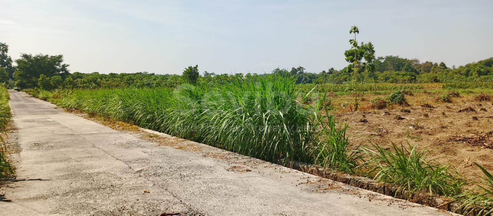 WhatsApp Image 2025-09-12 at 14.10.39 (3)