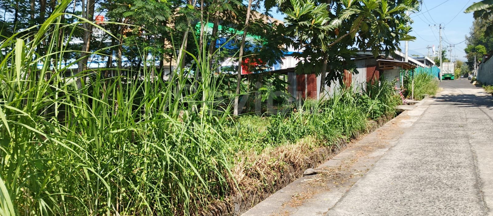 WhatsApp Image 2025-09-12 at 14.10.39