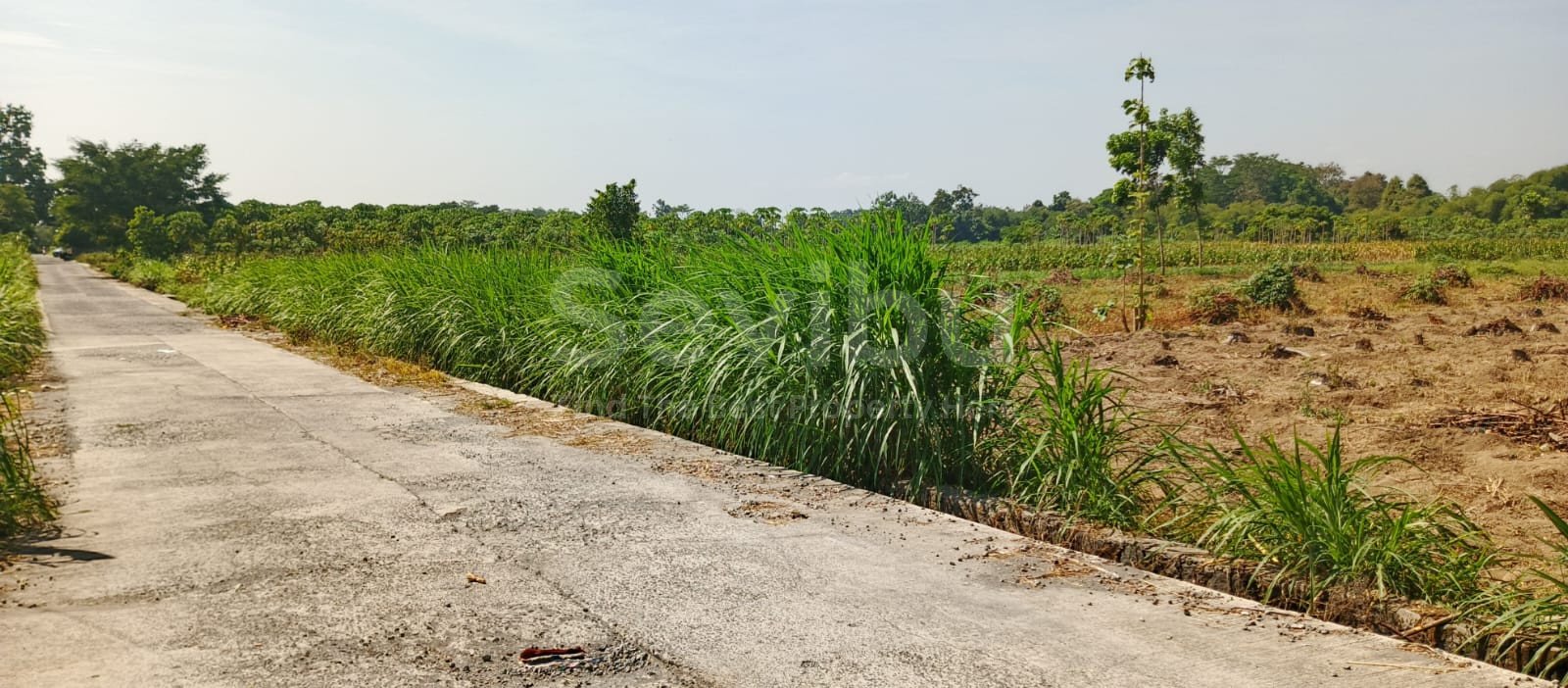 WhatsApp Image 2025-09-12 at 14.10.40