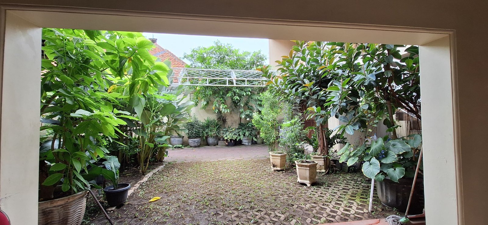 WhatsApp Image 2025-09-19 at 10.19.39 AM (1)