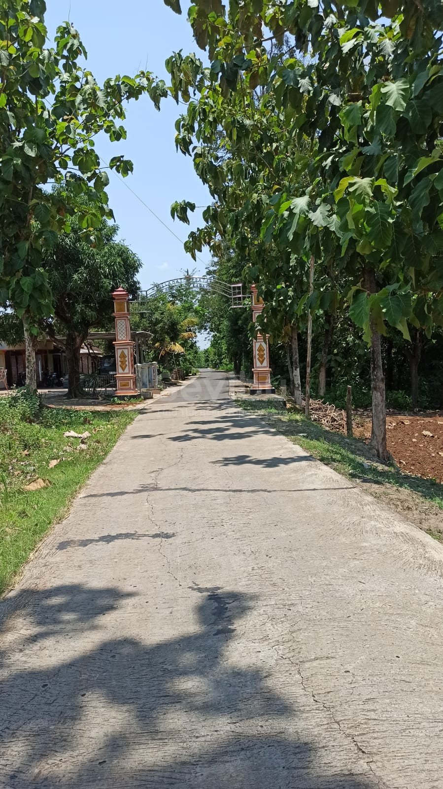 WhatsApp Image 2025-10-10 at 12.20.42