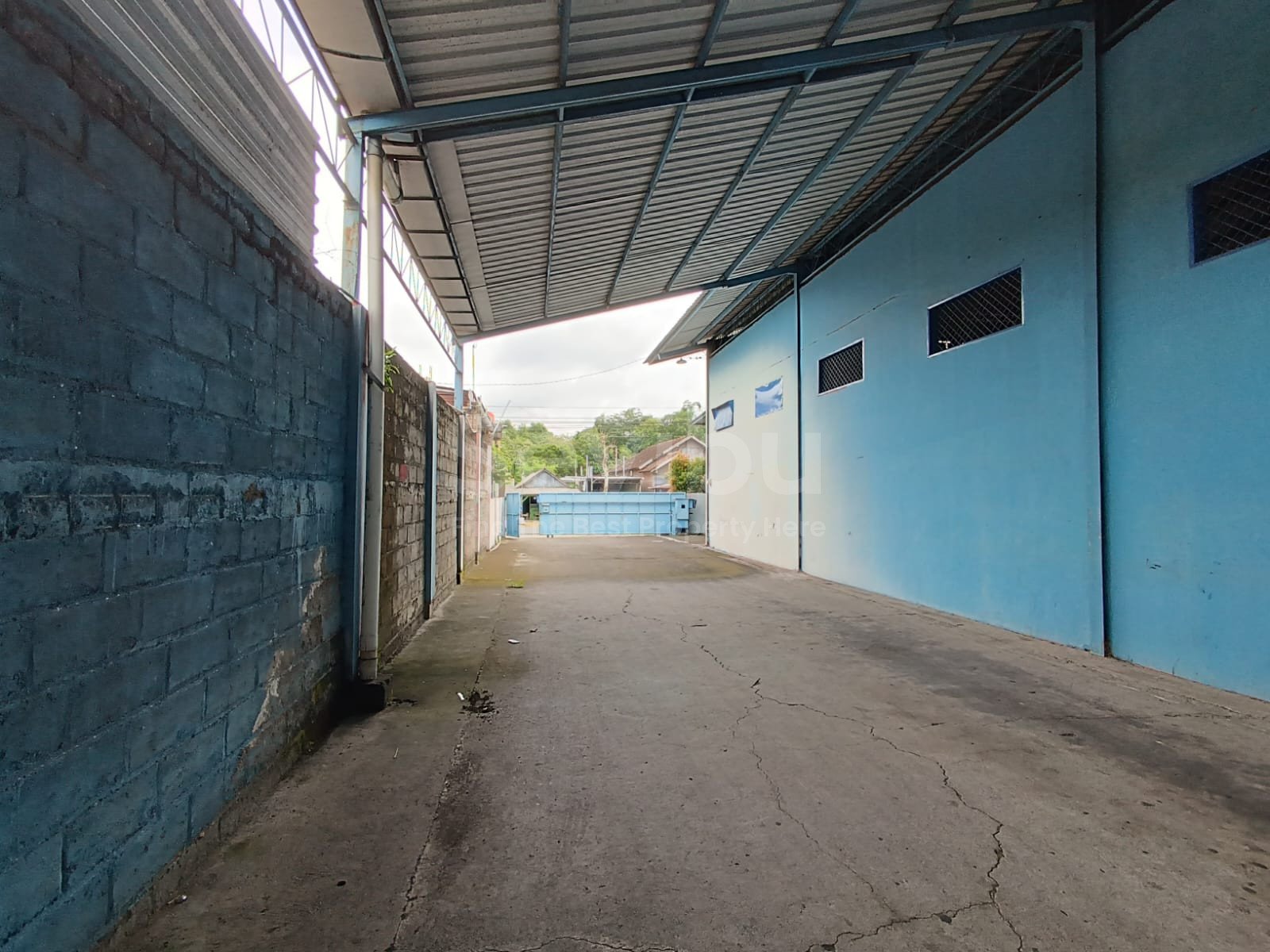 WhatsApp Image 2025-10-15 at 8.51.33 AM