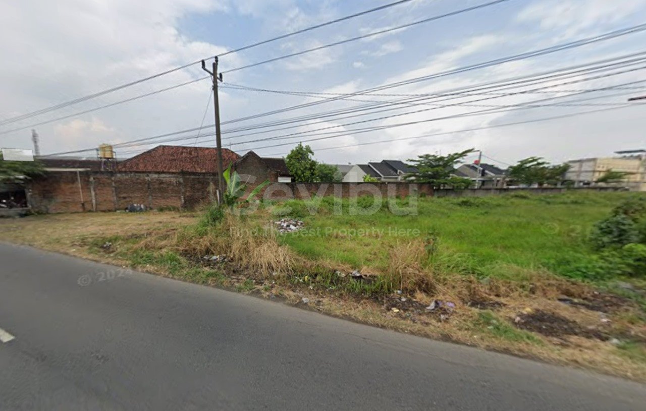 WhatsApp Image 2025-10-24 at 2.40.47 PM (1)