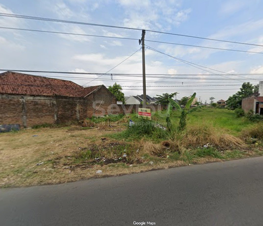 WhatsApp Image 2025-10-24 at 2.40.47 PM