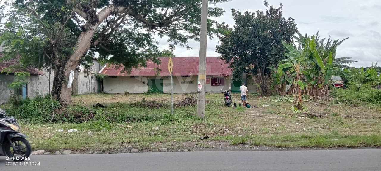 WhatsApp Image 2025-11-15 at 11.10.34