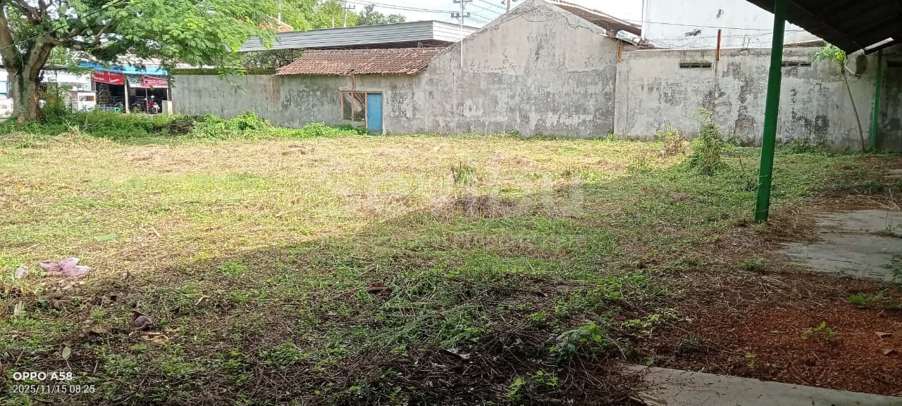 WhatsApp Image 2025-11-15 at 11.10.36