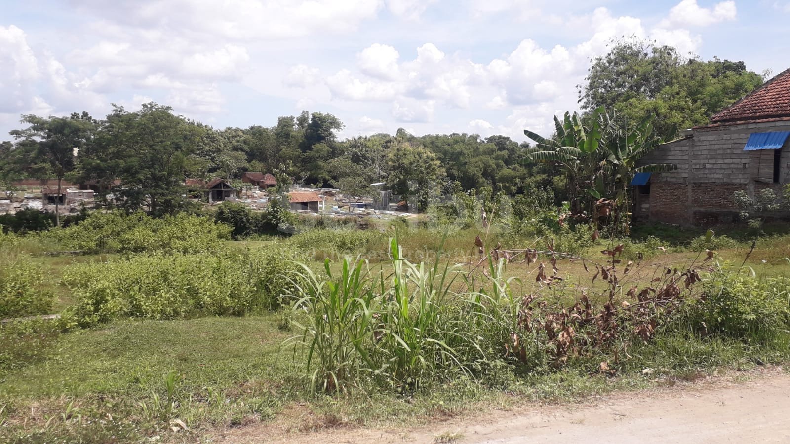 WhatsApp Image 2025-11-19 at 12.21.23