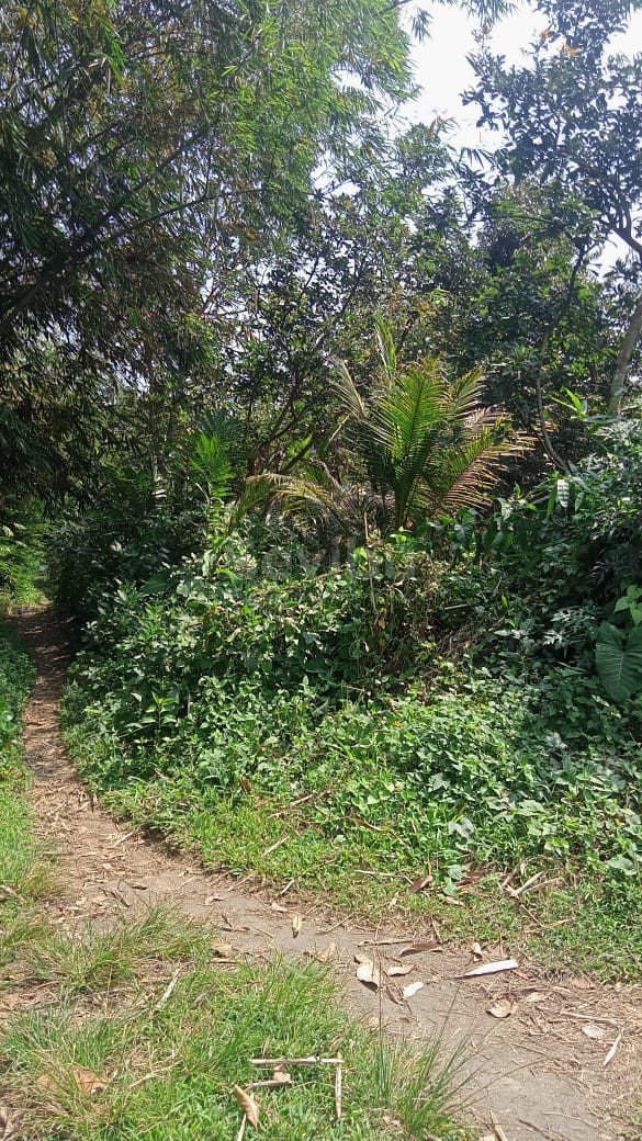 WhatsApp Image 2025-11-20 at 11.04.41 (2)