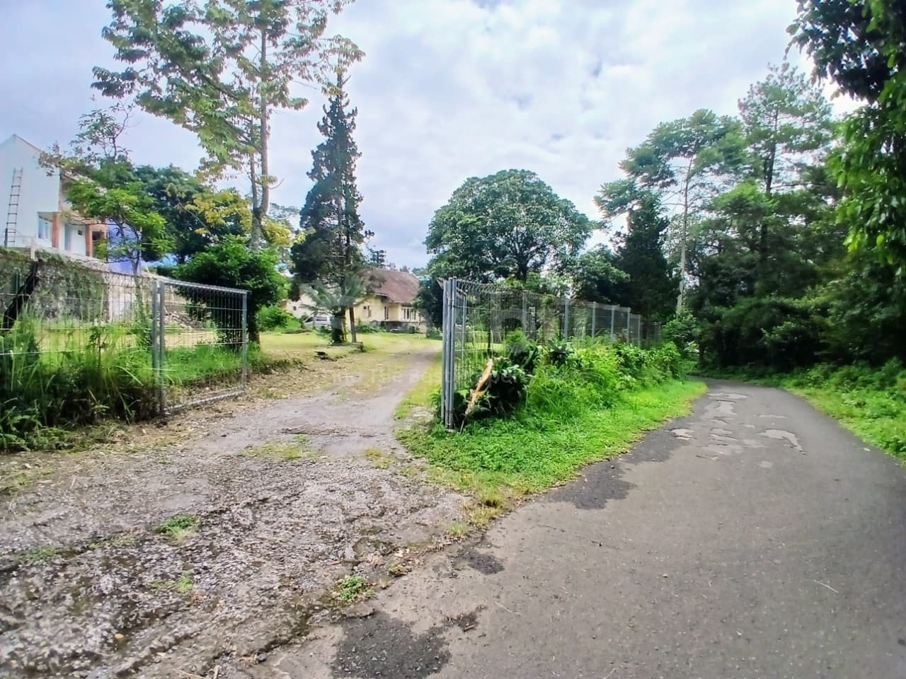 WhatsApp Image 2025-12-05 at 10.00.49 AM (3)