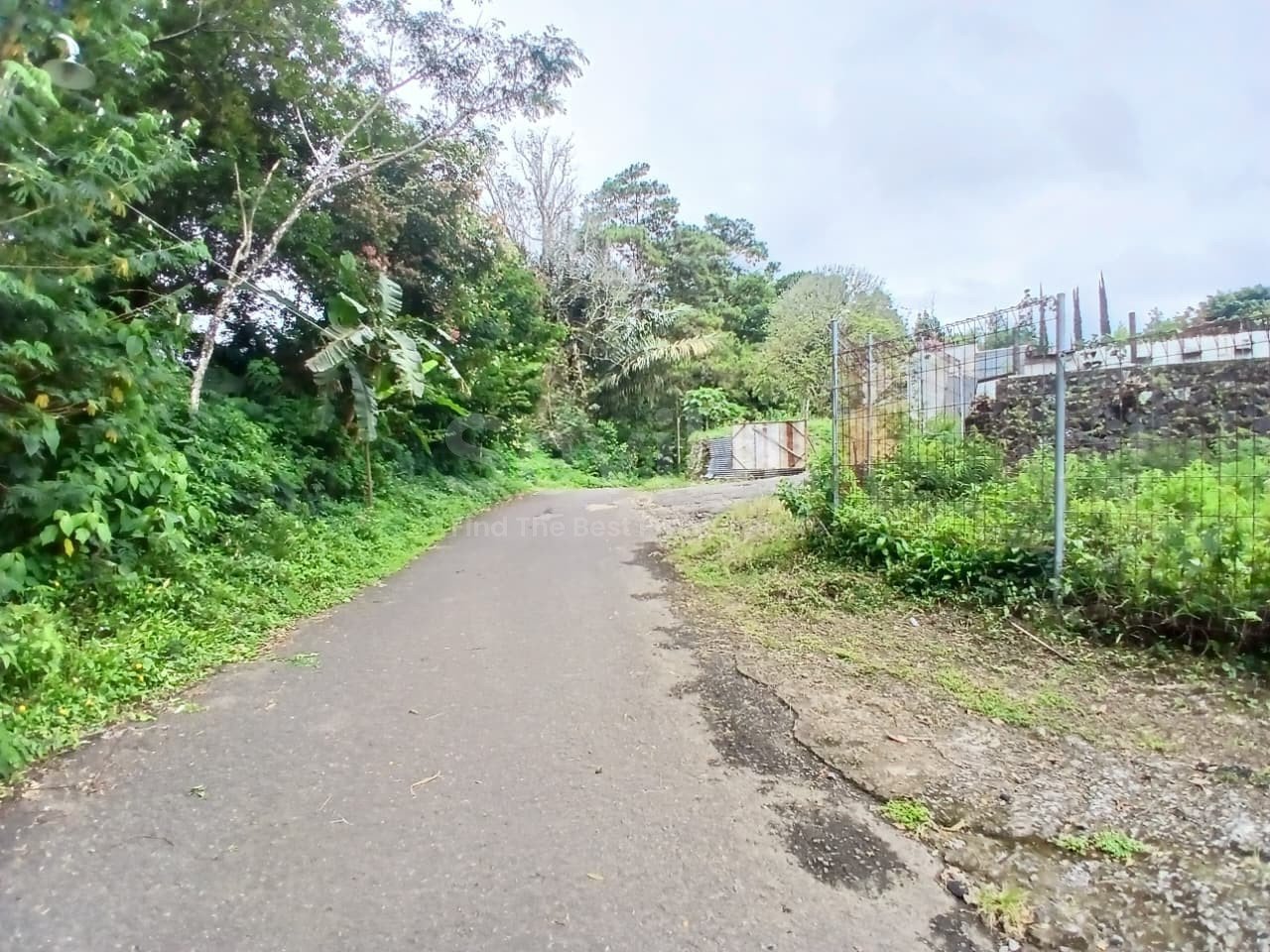 WhatsApp Image 2025-12-05 at 10.00.49 AM (4)