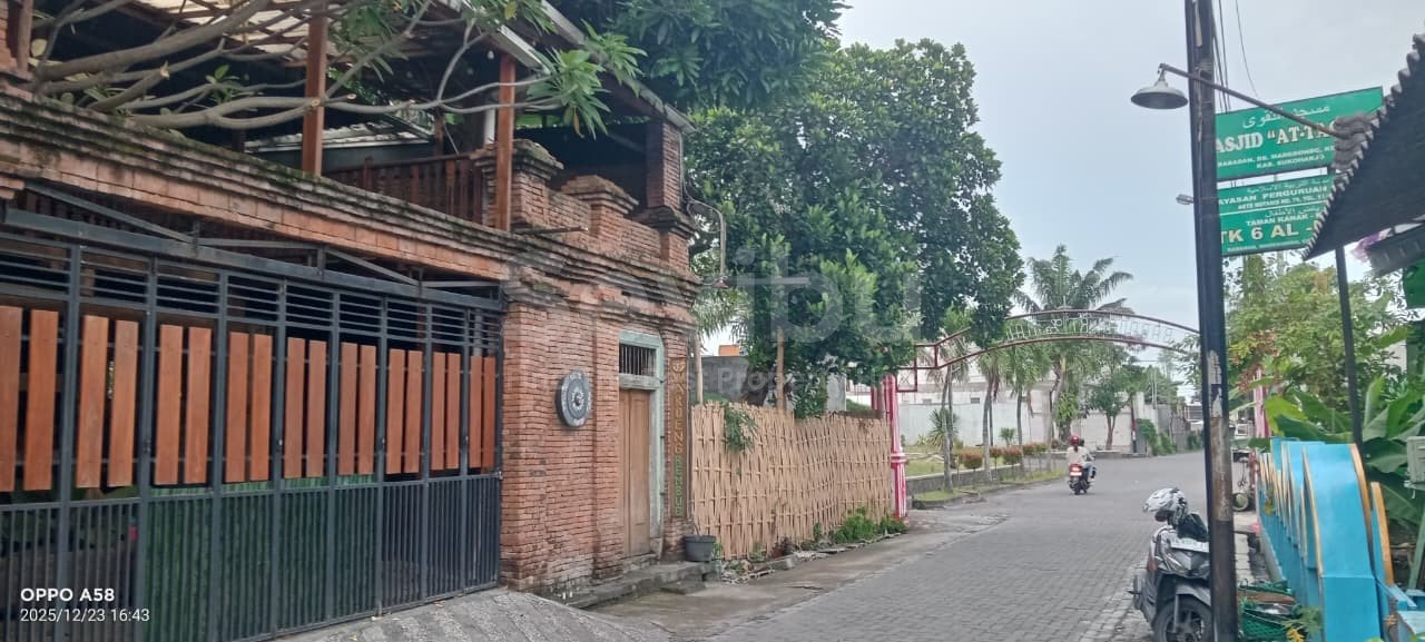 WhatsApp Image 2026-01-17 at 11.09.44