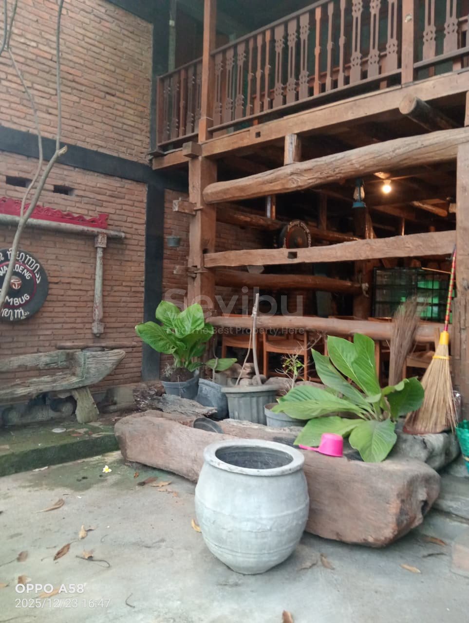 WhatsApp Image 2026-01-17 at 11.09.48