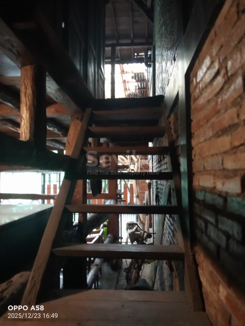 WhatsApp Image 2026-01-17 at 11.10.01