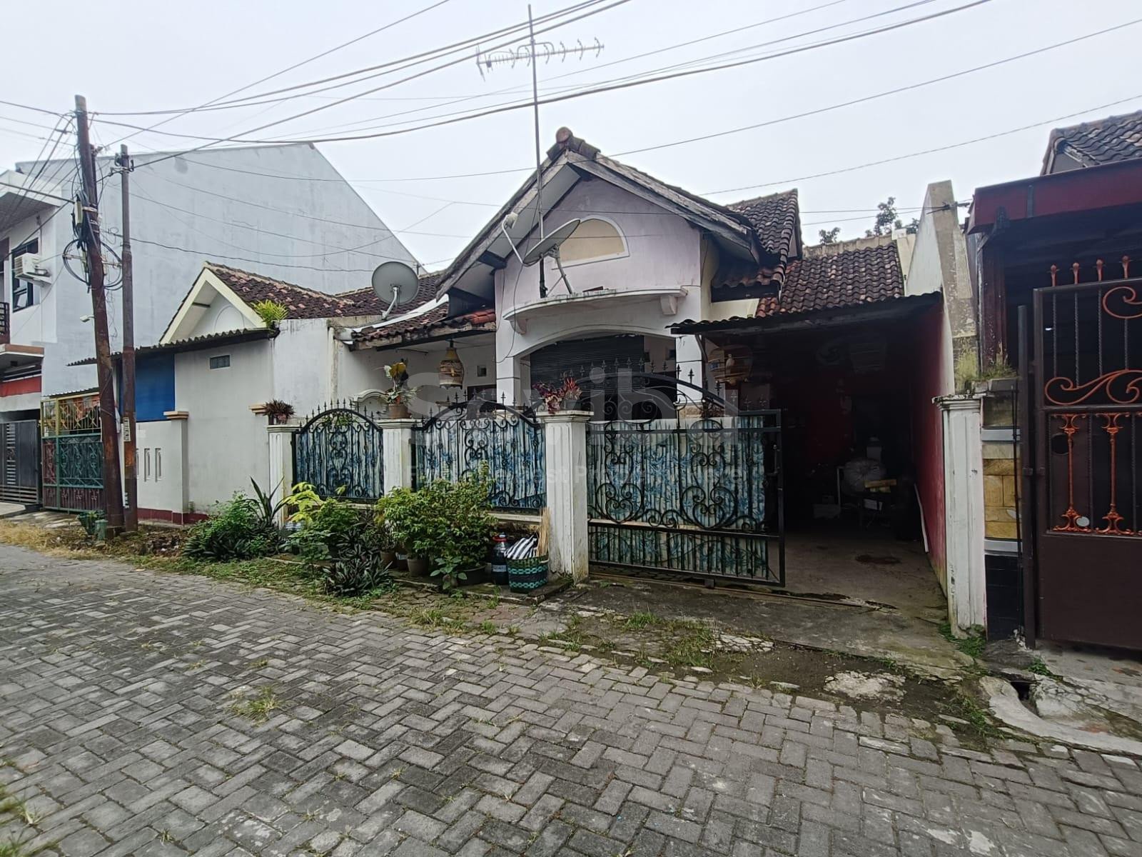 WhatsApp-Image-2026-01-27-at-13.54.29