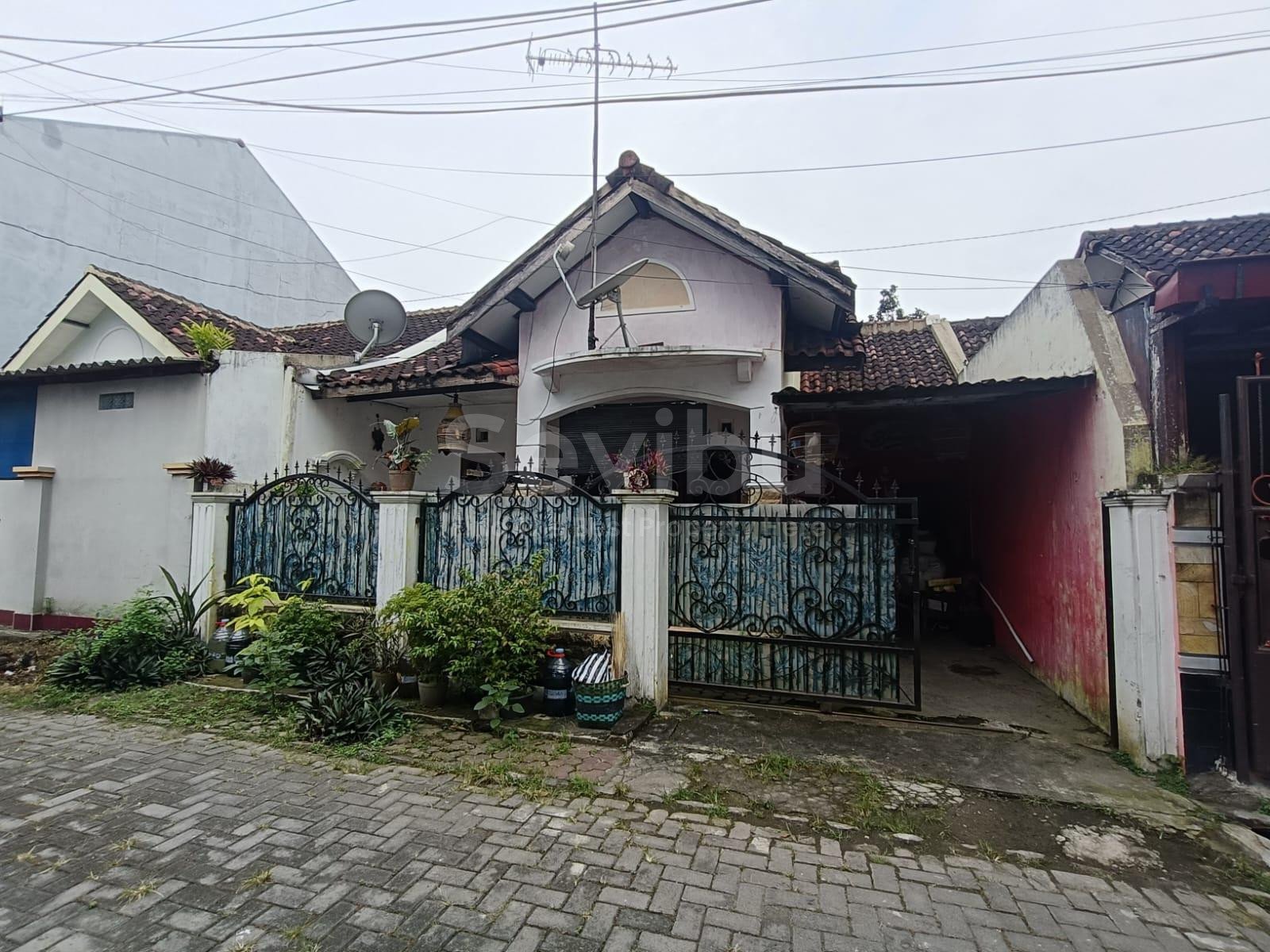 WhatsApp-Image-2026-01-27-at-13.54.30